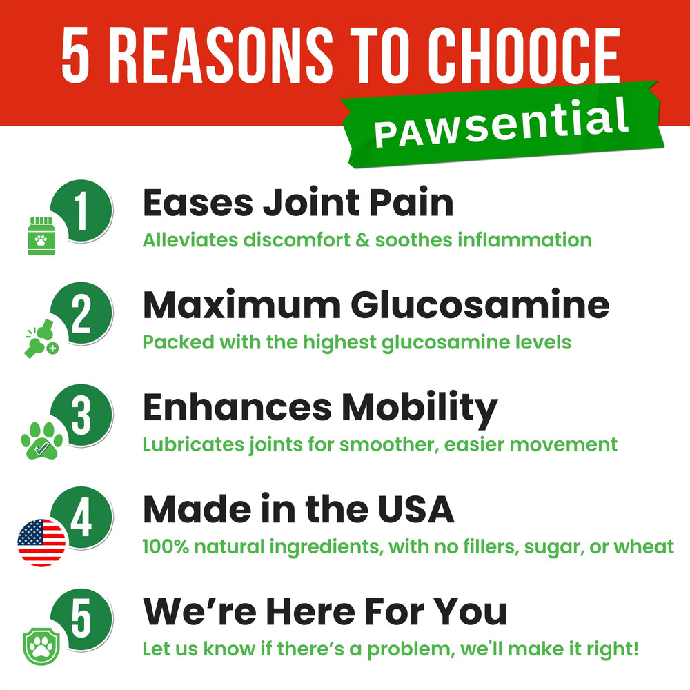 Pawsential hemp treats turmeric msm: natural anti-inflammatory blend for daily joint relief