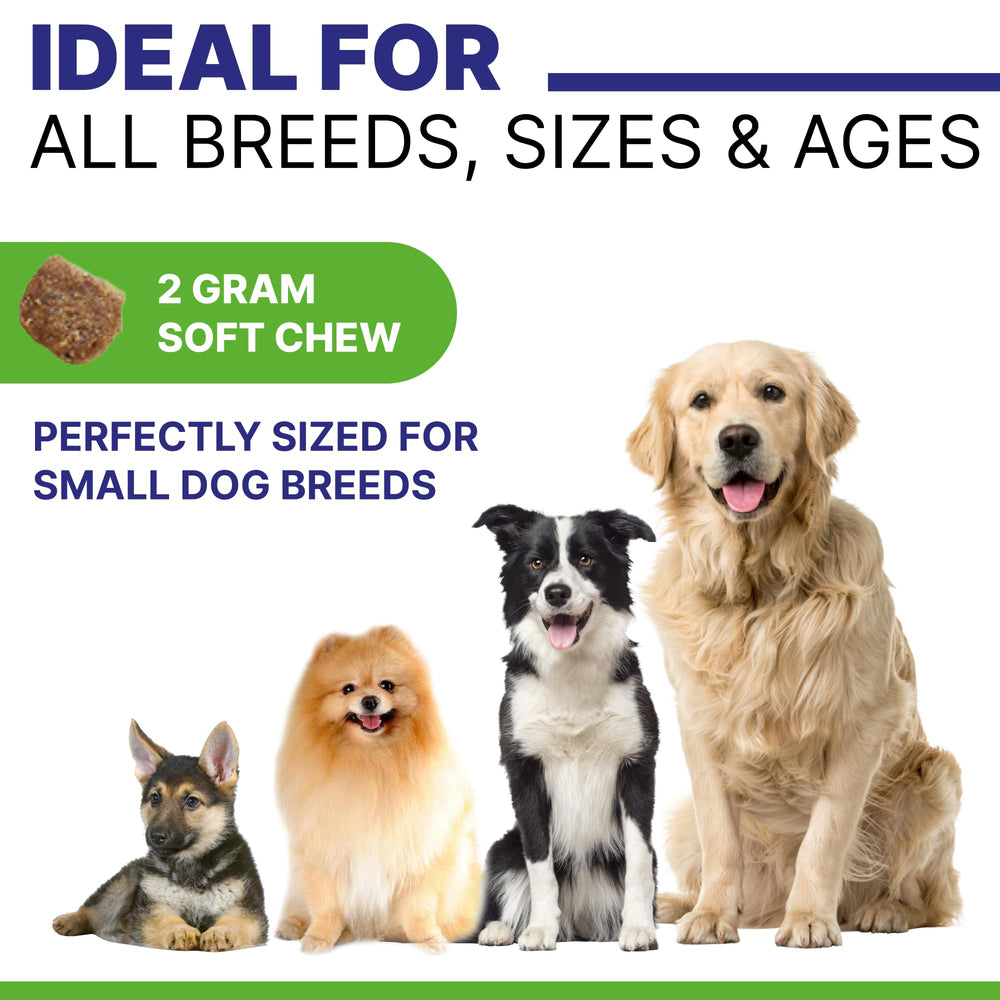PAWSential small-portion bites, 2.5g size suitable for all breeds.