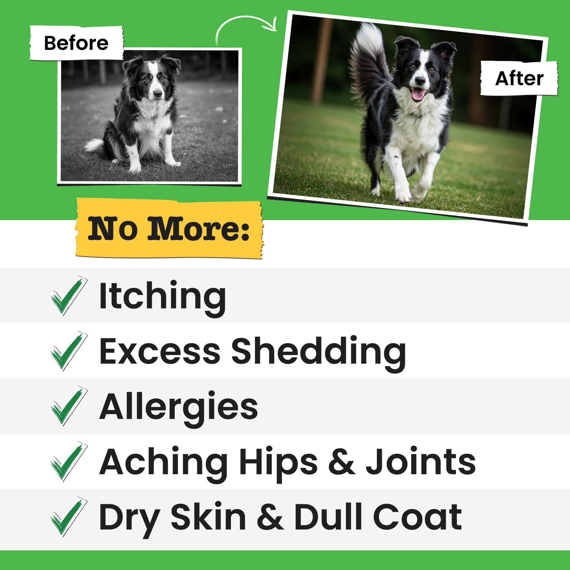 Pawsential Wild Alaskan Salmon Oil pour highlighting premium pet oil