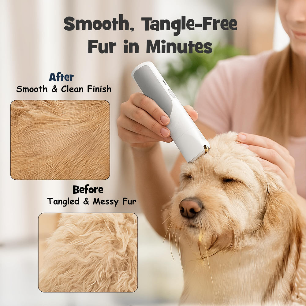 Pawsest nail grinder with attachments for safe paw care