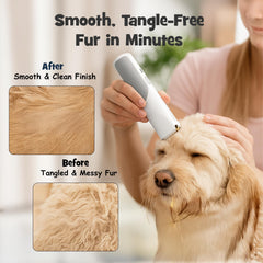 Pawsest nail grinder with attachments for safe paw care
