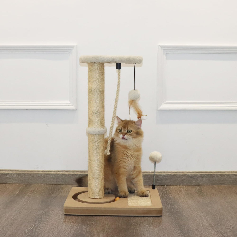 PAWSFANS dimensions indicate 25 inch height for vertical scratching