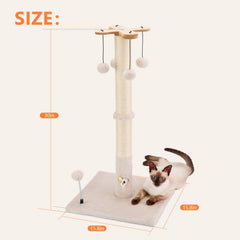 PAWSFANS hanging ball toys top and bottom invite chase and batting fun