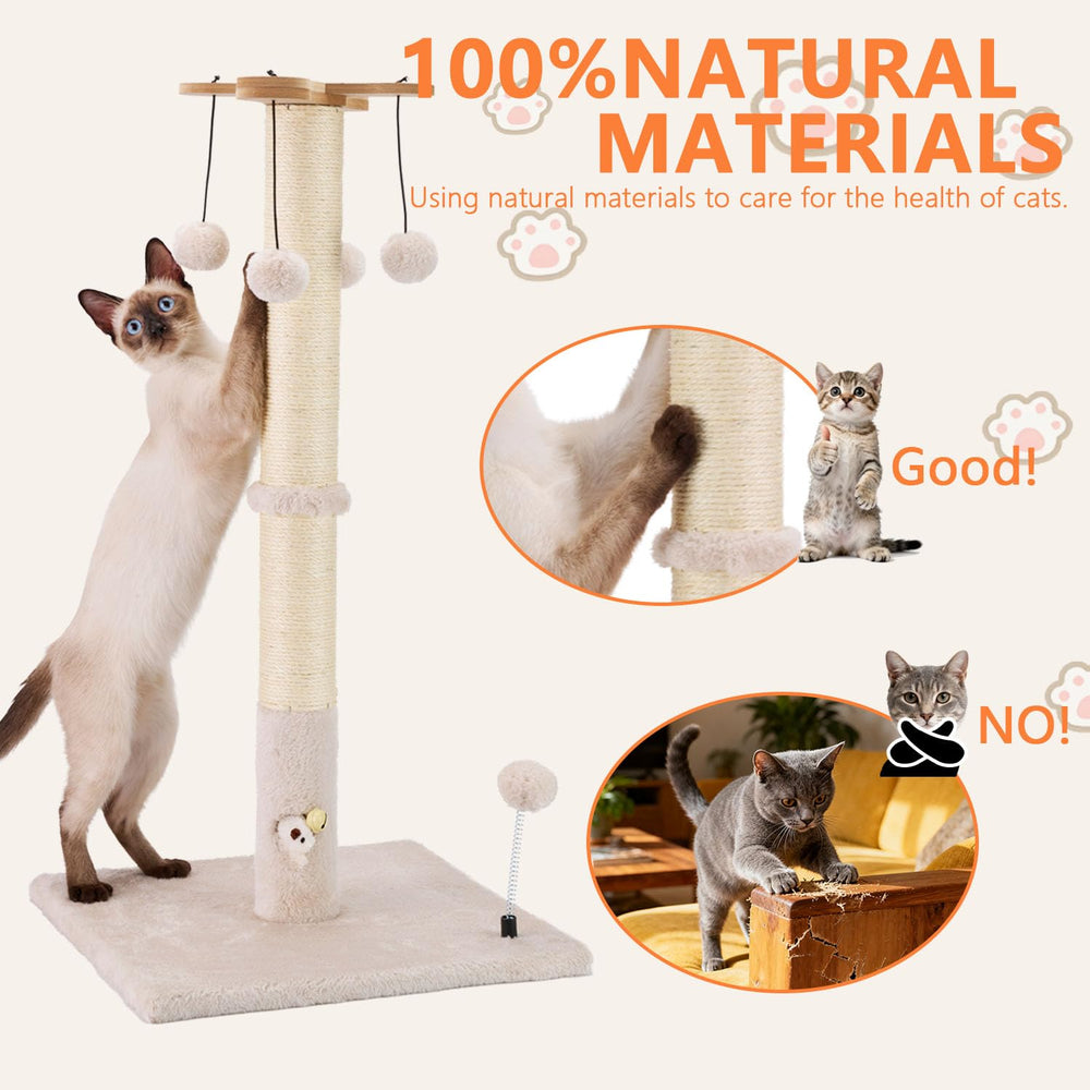 PAWSFANS two installation methods kit adapts to kittens and adults
