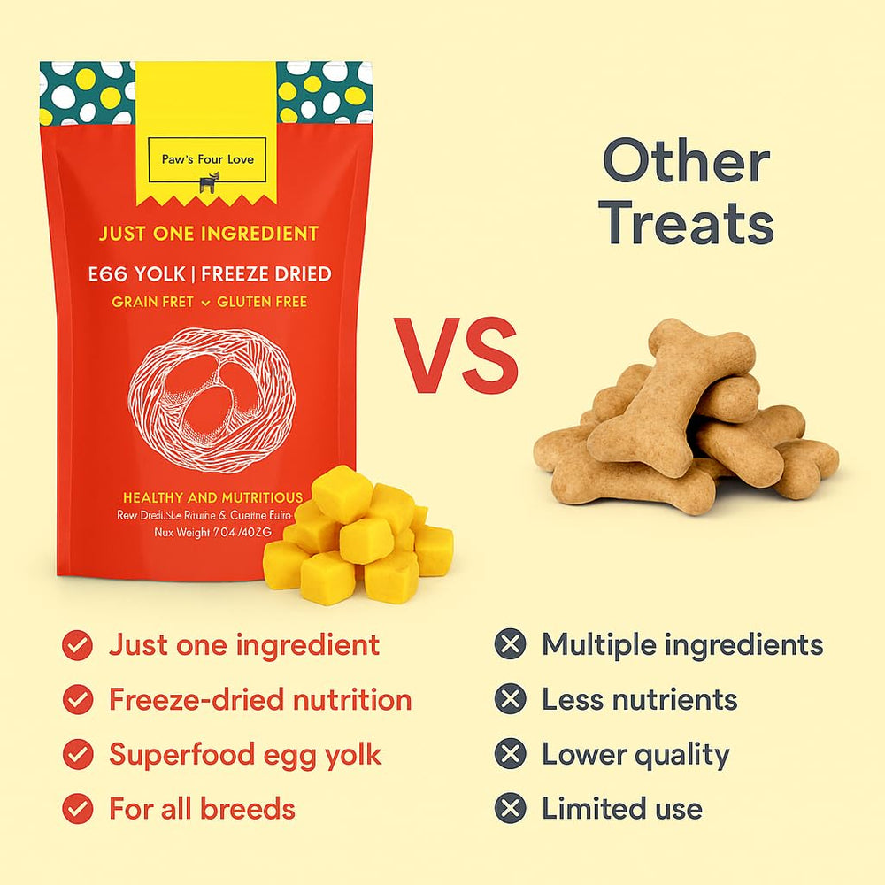 PawsFourLove training-reward image highlights high-value, mess-free motivation during training.