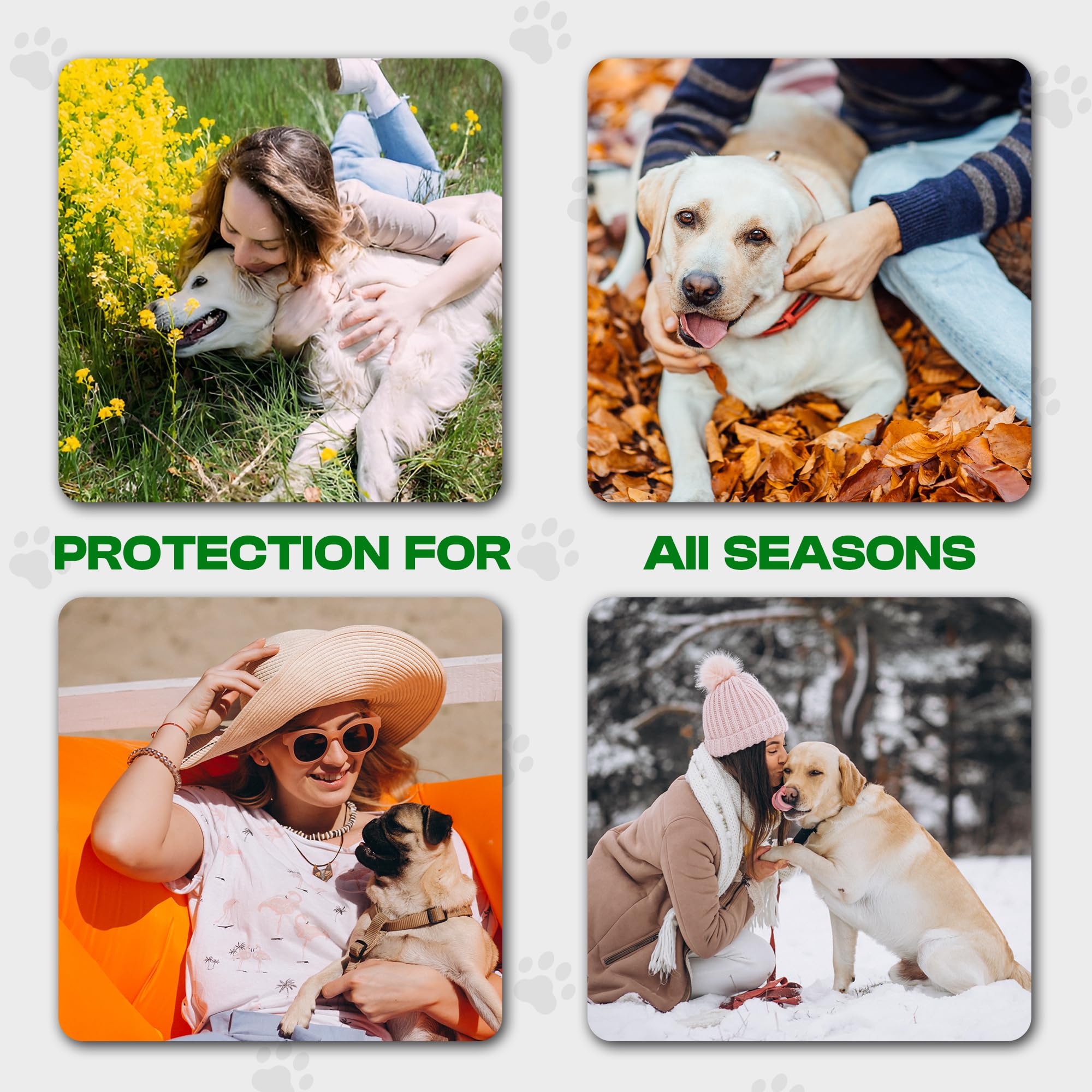 Pawsher dental wipes for dogs, convenient hygiene on the move