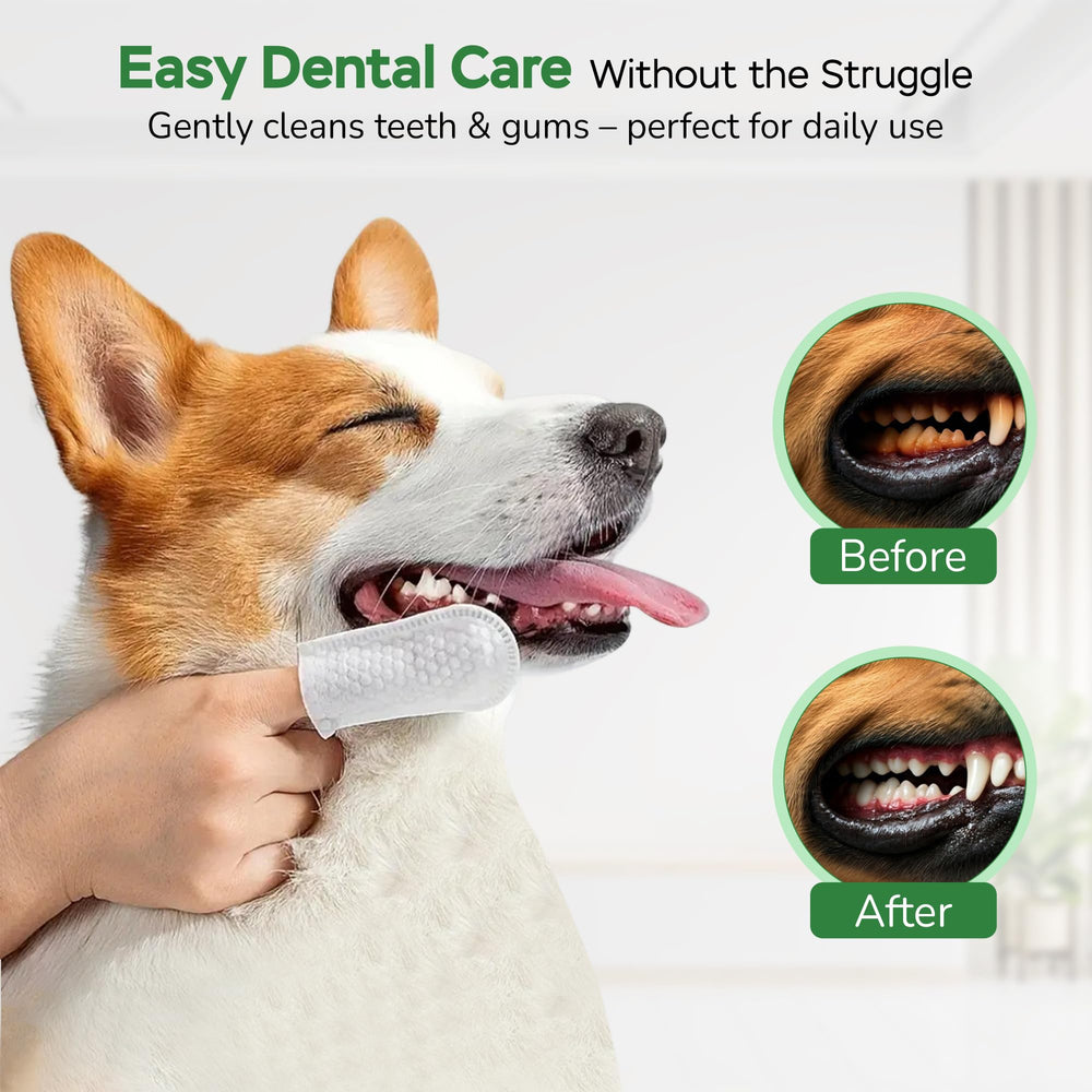 Pawsher poop bags set, durable and easy to dispense for pets