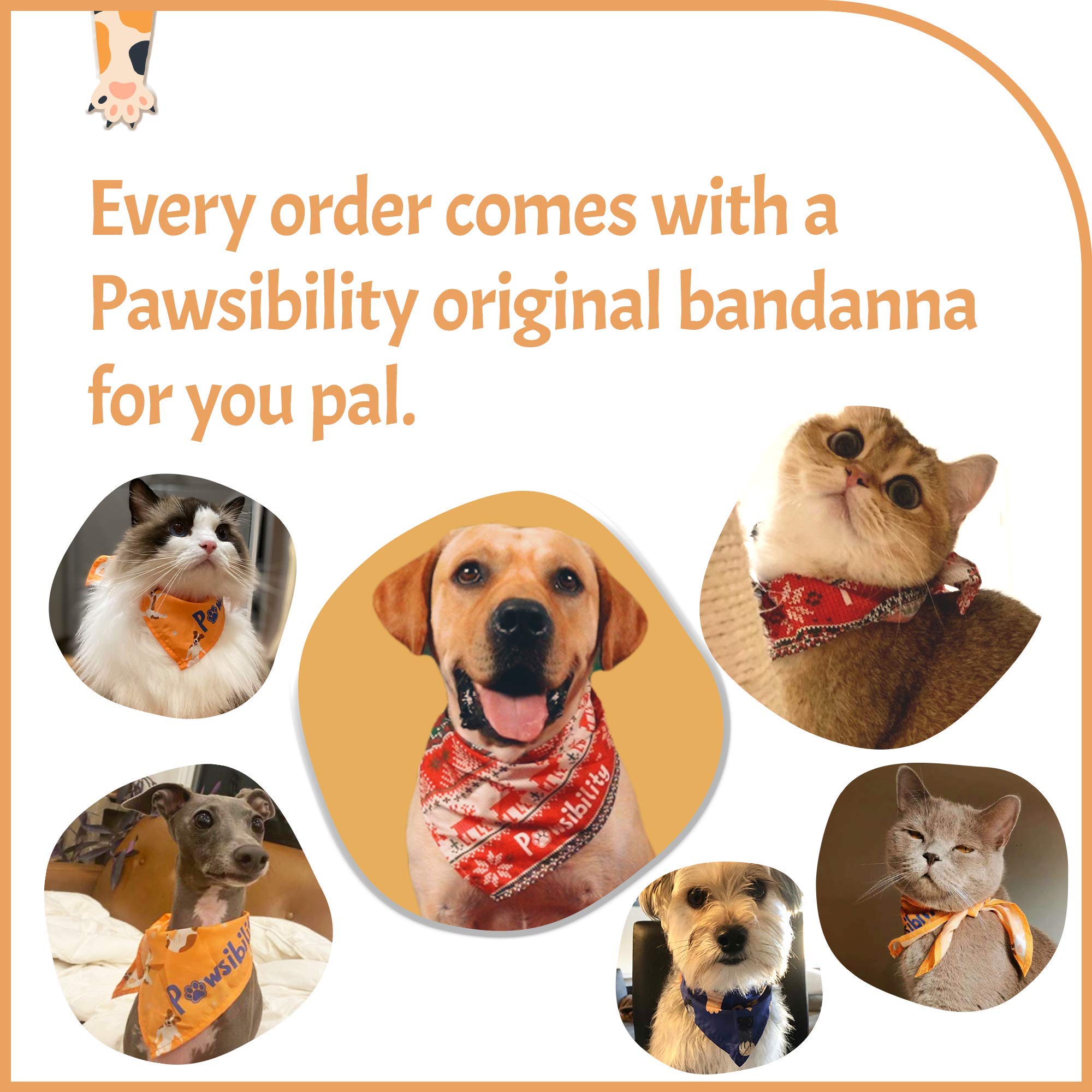 Pawsibility trimming tool for dogs and cats supports quick home grooming.