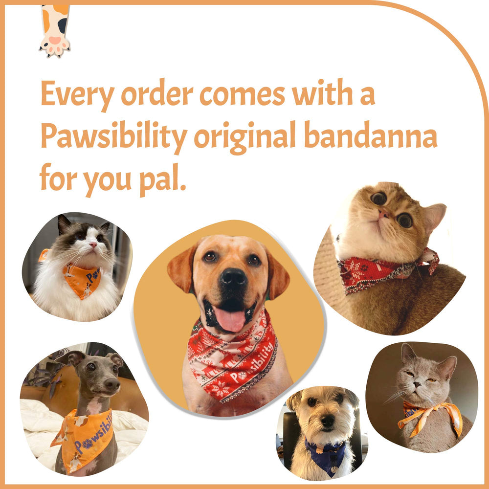 Pawsibility trimming tool for dogs and cats supports quick home grooming.