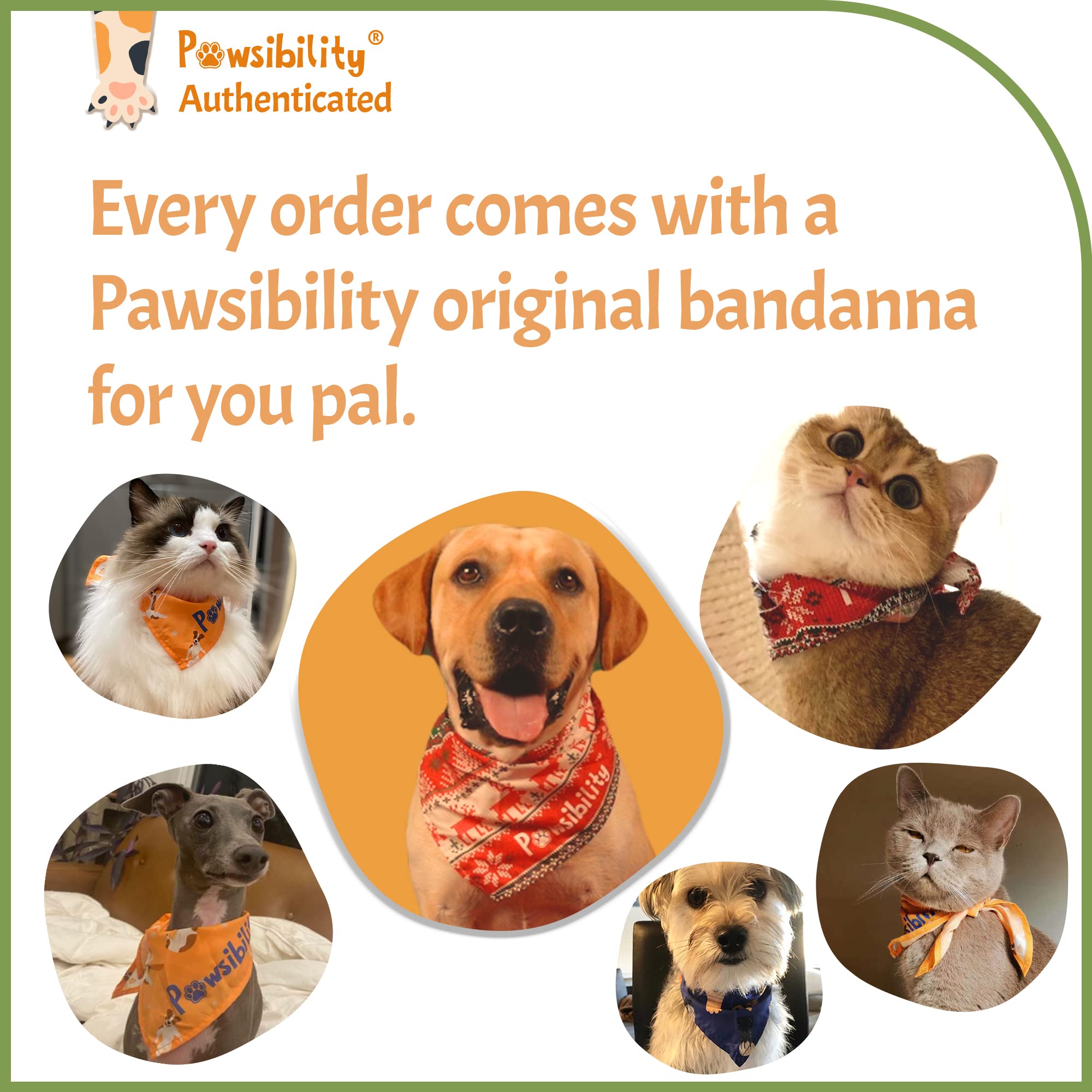 Pawsibility nail clippers shown during dog and cat nail trimming session