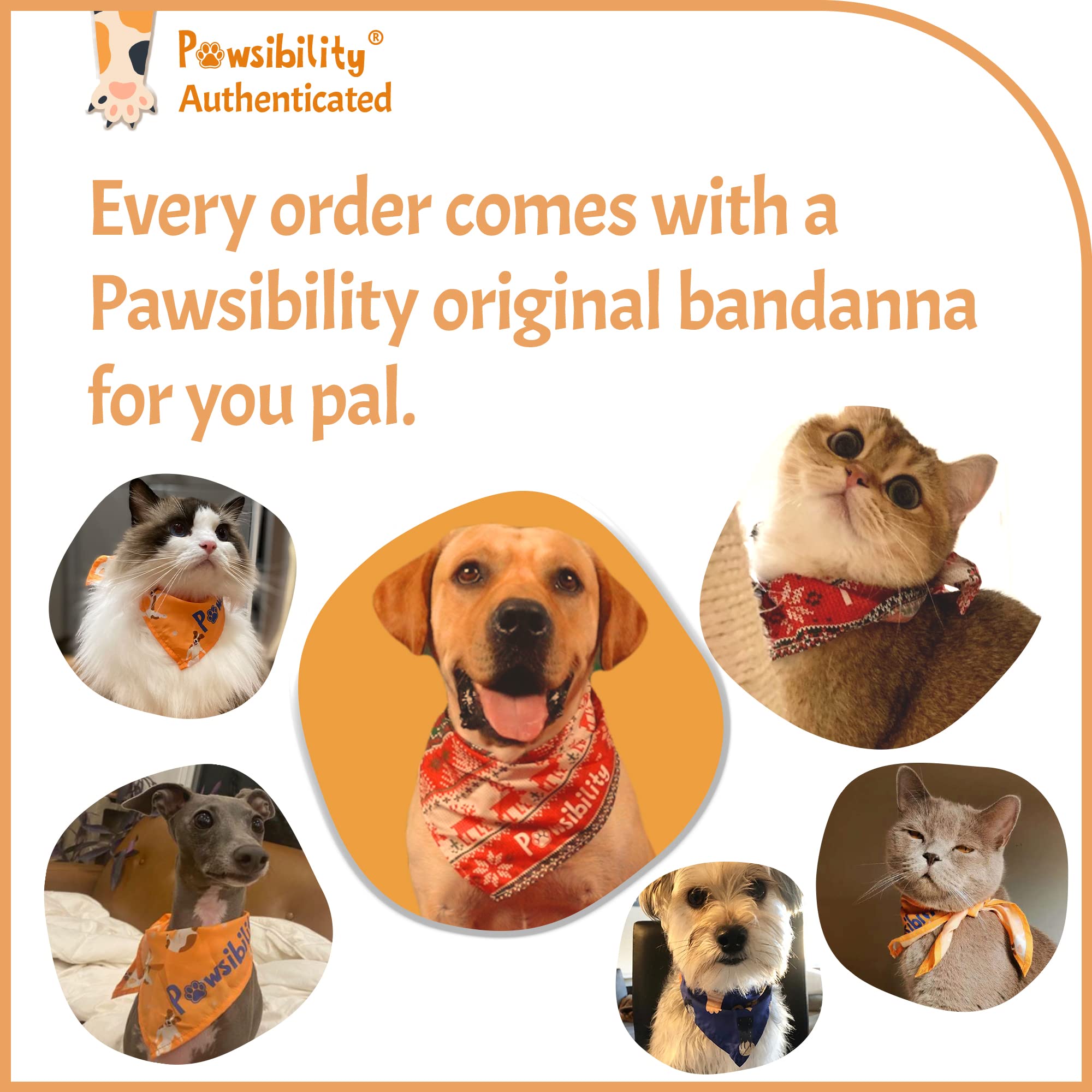 Pawsibility pink tool ideal for both dogs and cats.
