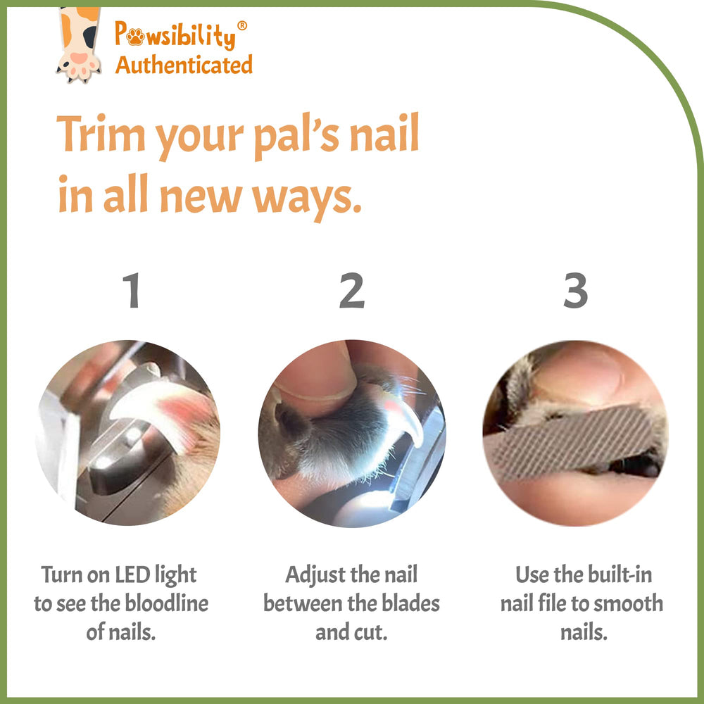 Pawsibility nail storage box keeps clippings organized after trimming