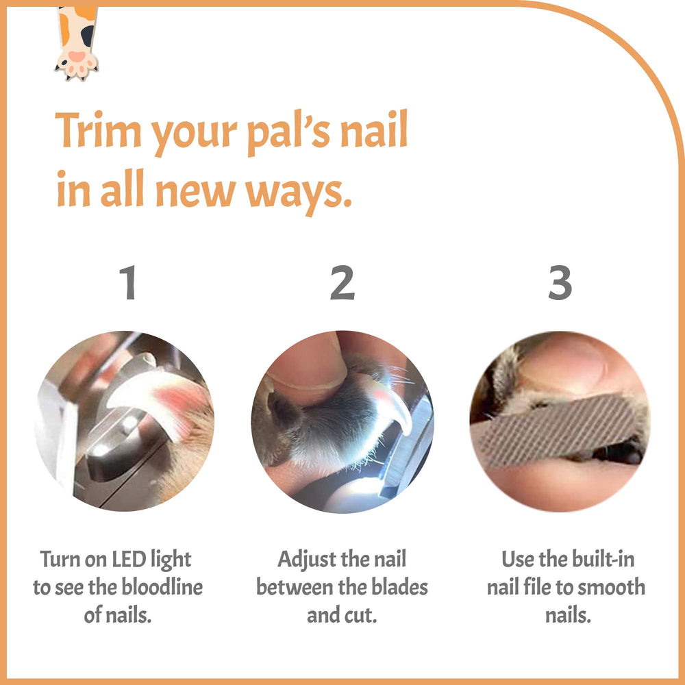 Pawsibility nail storage box keeps nails organized after trimming.