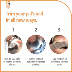 Pawsibility nail storage box keeps nails organized after trimming.