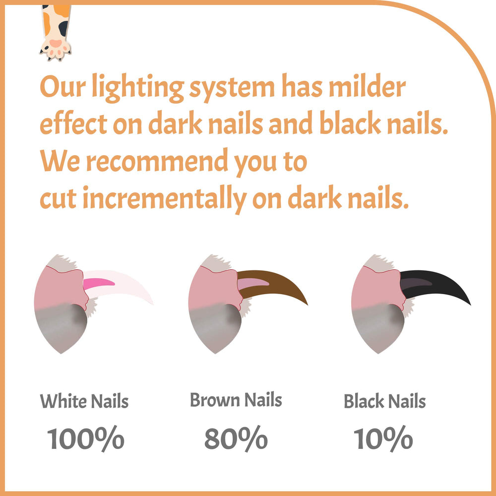 Pawsibility USB rechargeable system powers the LED light on demand.