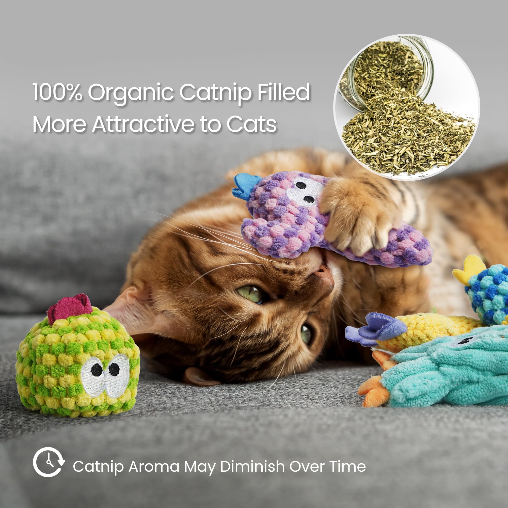Pawsible cactus toys 4-6 inches sized for cats of all ages during playtime