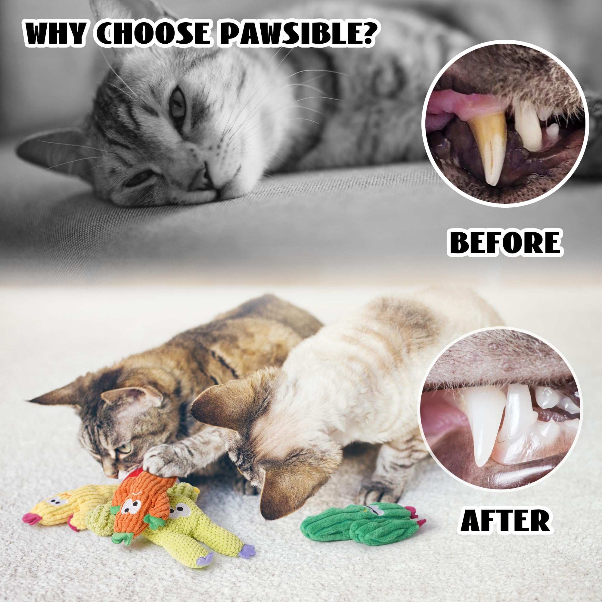 Pawsible catnip cactus toy emphasizes durability for rough play and long-lasting fun.