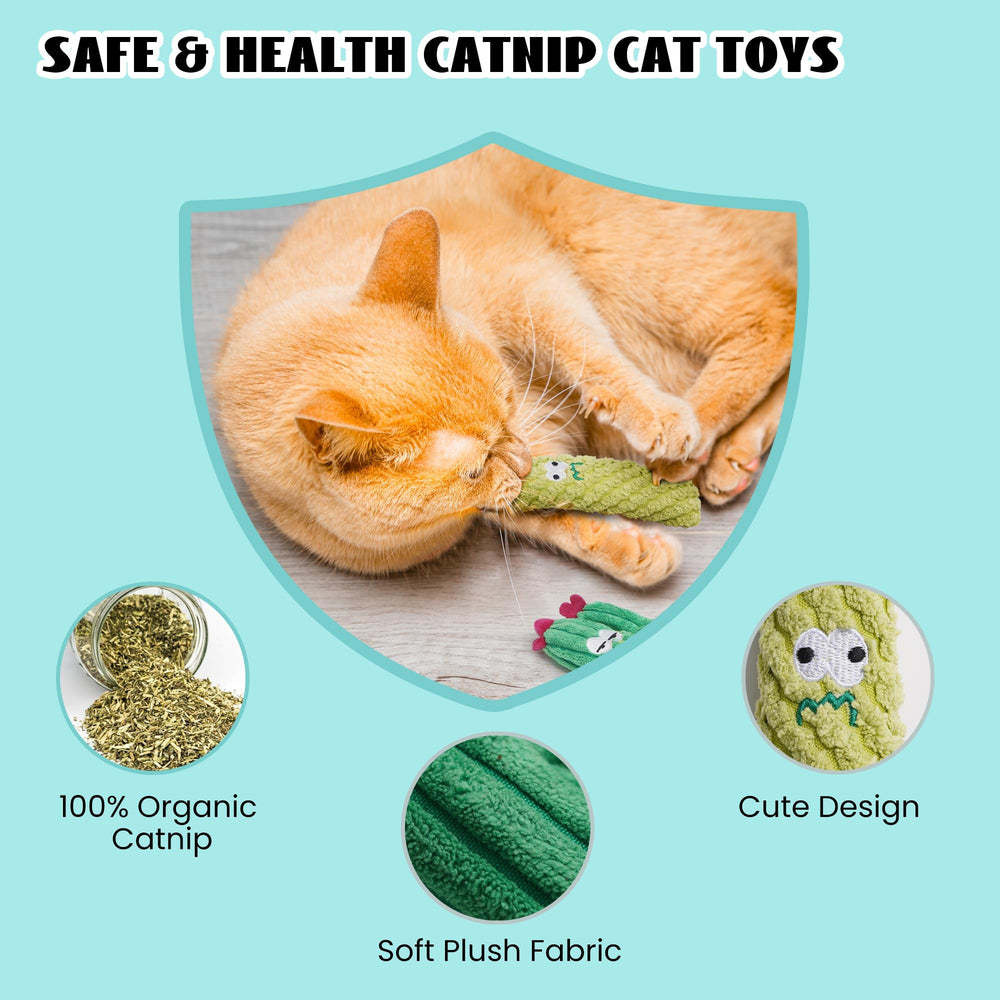Pawsible catnip cactus toy supports interactive bonding during play sessions.