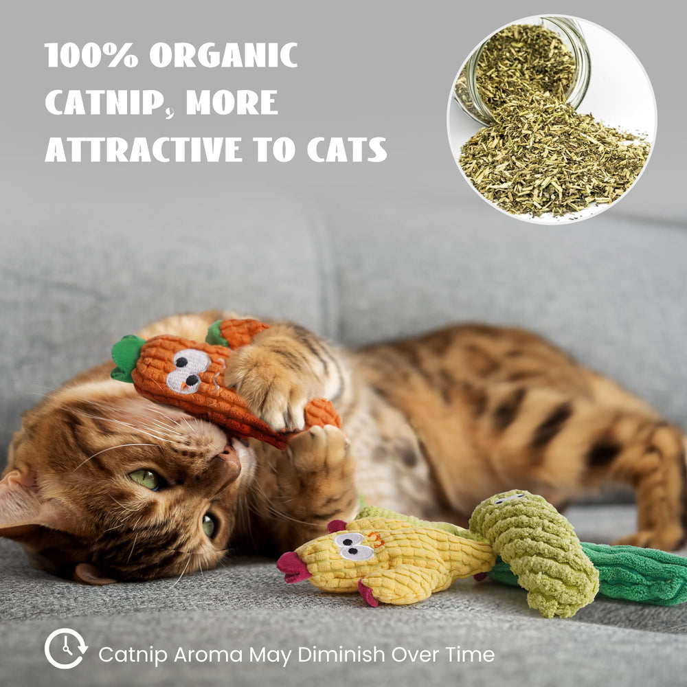 Pawsible catnip cactus toy suitable for kittens and adult cats for healthy engagement.