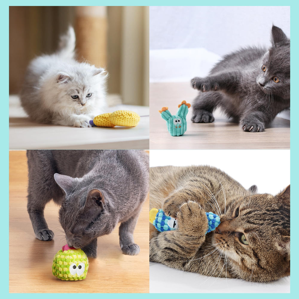 Pawsible catnip toys ready for interactive play with owner