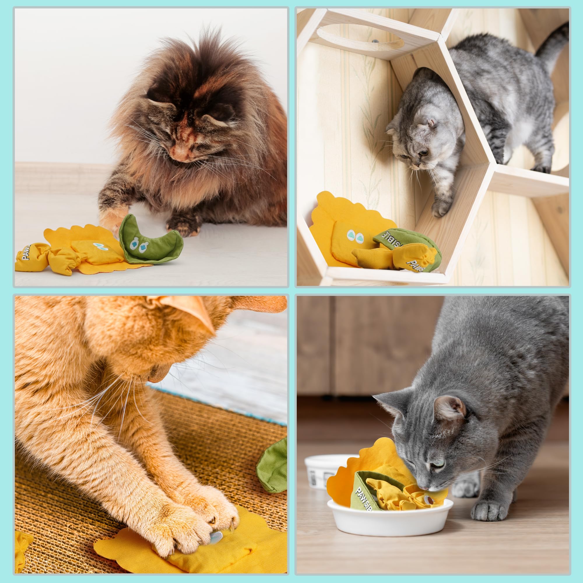 Pawsible Ravioli Catnip Toy gift-ready packaging for stocking stuffers
