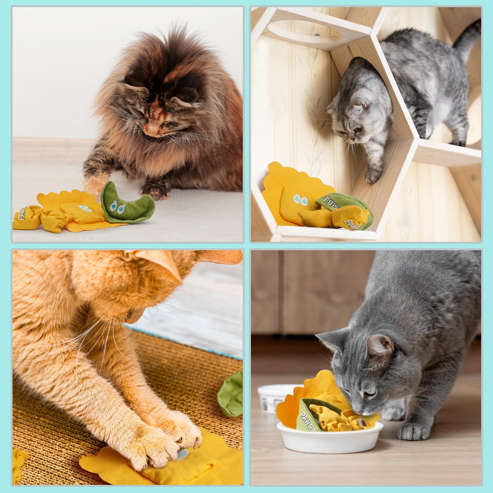 Pawsible Ravioli Catnip Toy gift-ready packaging for stocking stuffers