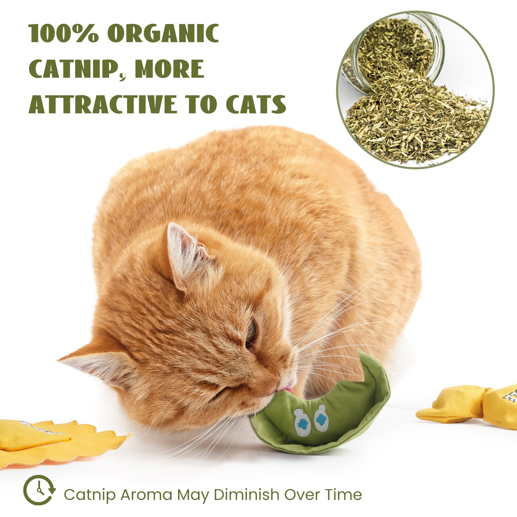 Pawsible Ravioli Catnip Toy pack multi-visual demonstrates variety for enrichment