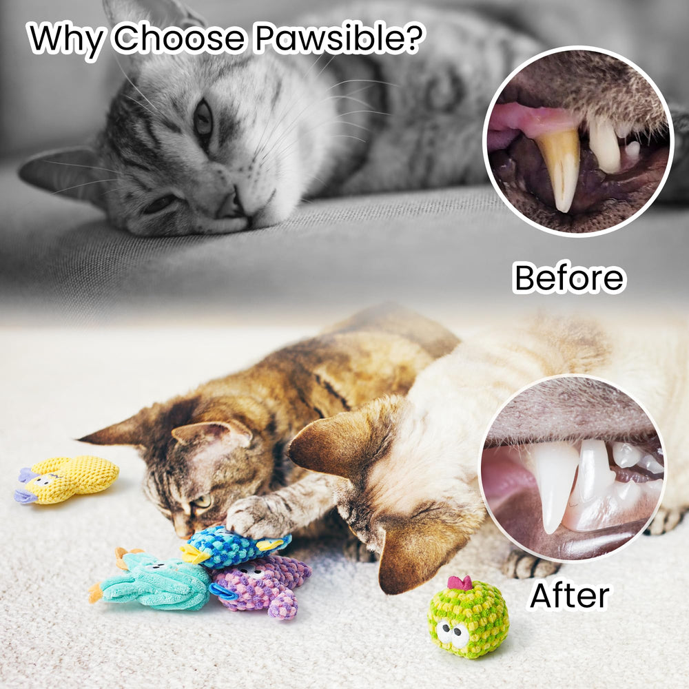 Pawsible soft durable non-toxic materials for safe play times