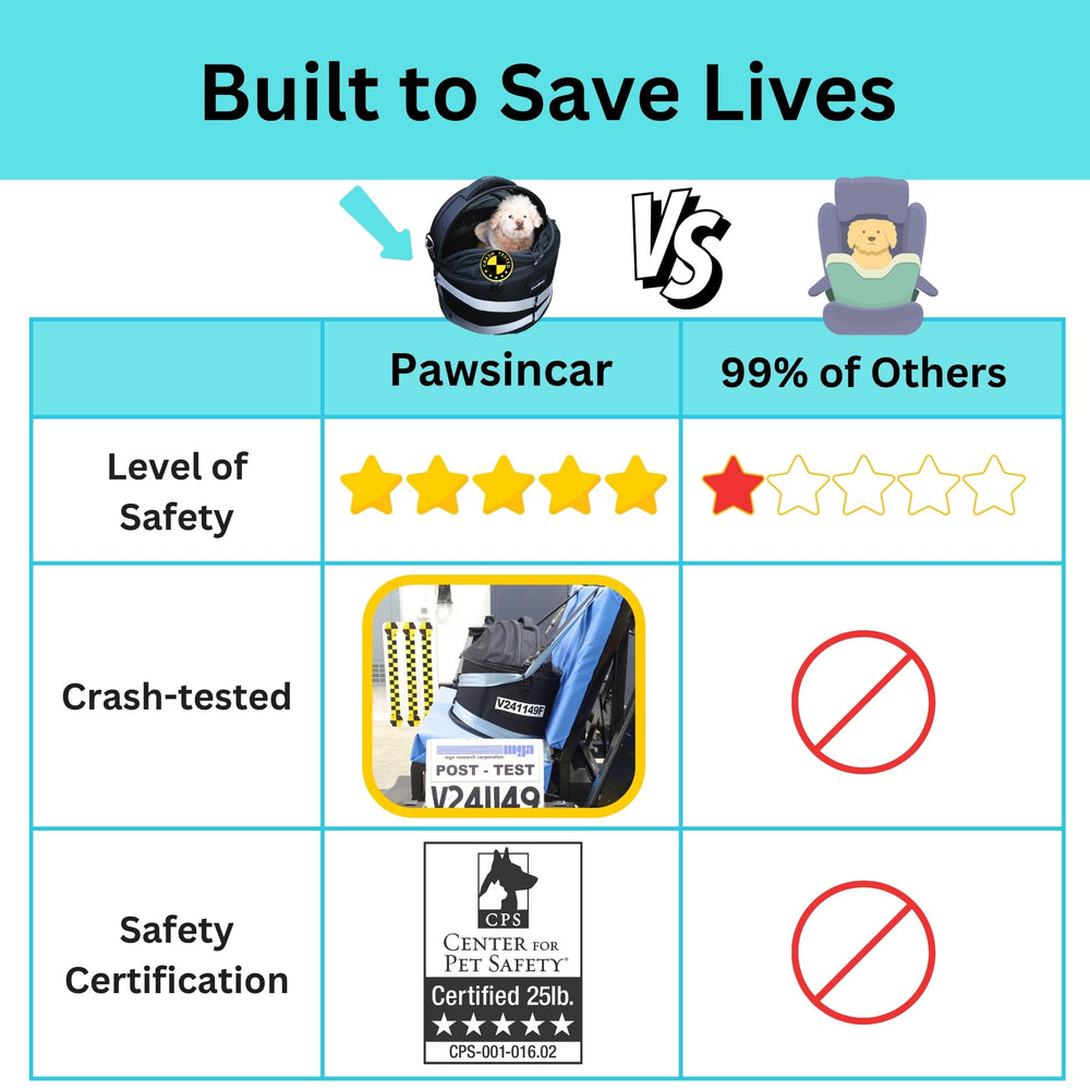 pawsincar crash-test results from CPS demonstrating safety