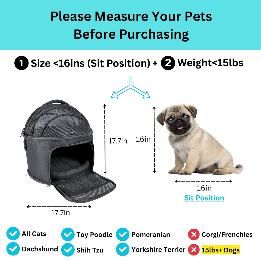 pawsincar home-use pet bed doubles as cozy resting spot