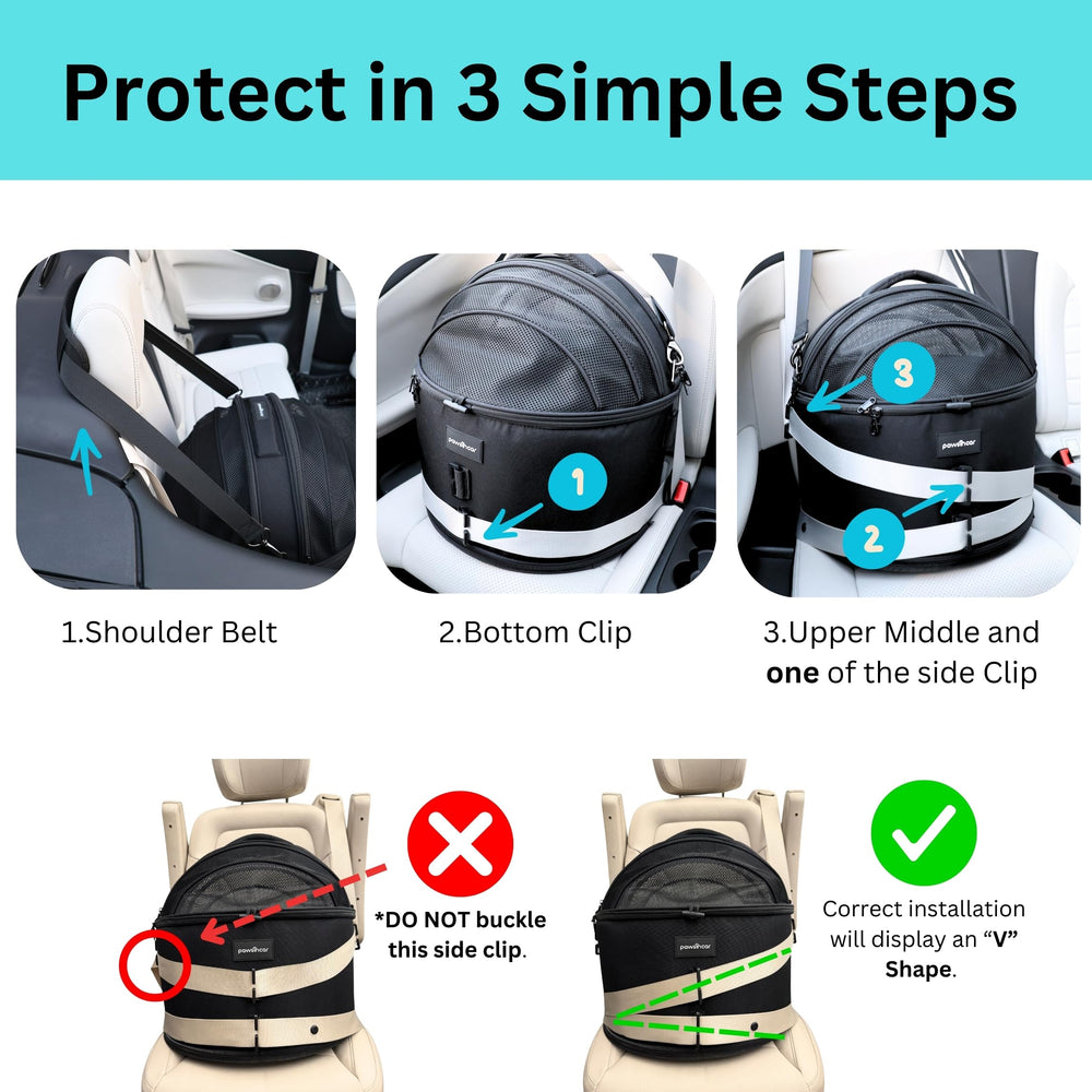 pawsincar seatbelt-based design absorbs crash forces for safety