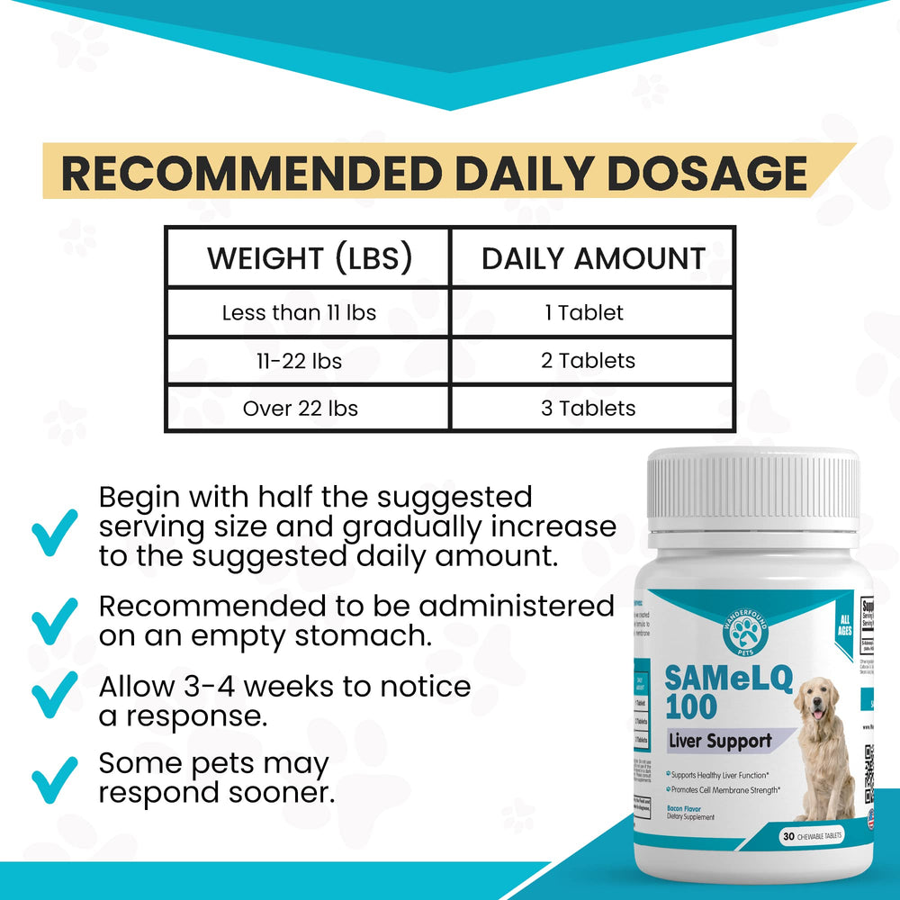 Pawsitive bacon-flavored dog chews offer palatability with supplement support.