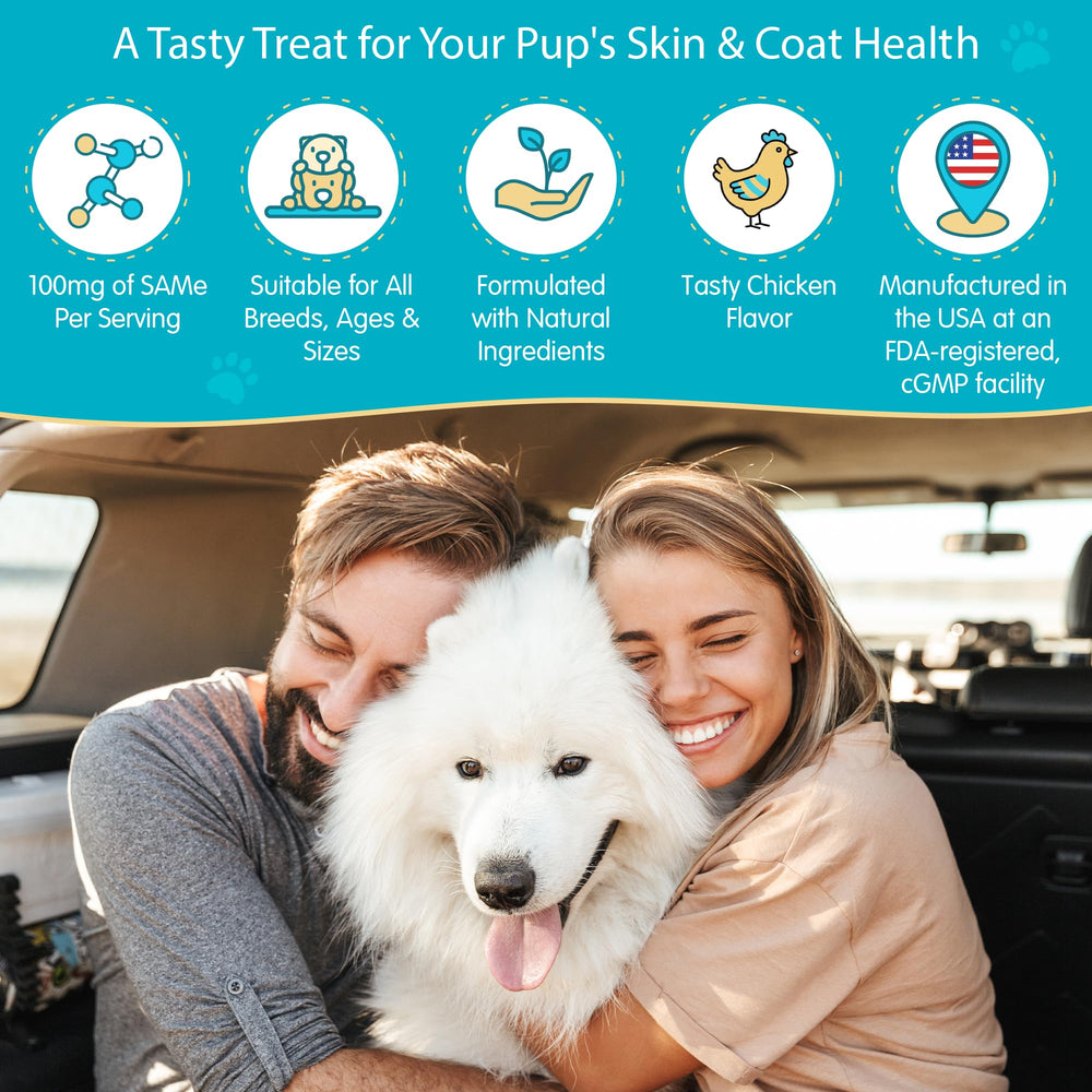 Pawsitive SAM-e dog bacon chews support cognitive function in pets.