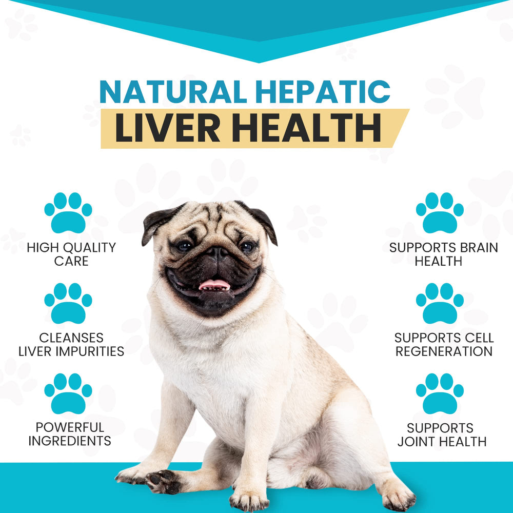 Pawsitive US-sourced ingredients image emphasizes quality and safety.