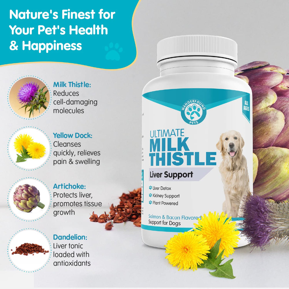Pawsitive Wanderfound 100 chewables pack communicates convenient, mess-free daily dosing