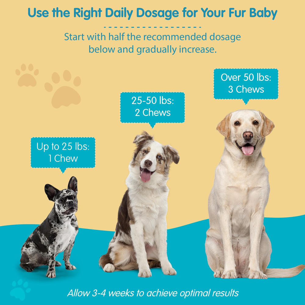 Pawsitive Wanderfound dosing chart closeup for easy dog supplement schedule