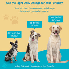 Pawsitive Wanderfound dosing chart closeup for easy dog supplement schedule