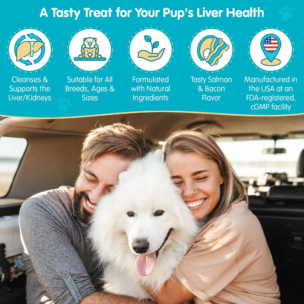 Pawsitive Wanderfound USA made label underscores quality and domestic manufacturing