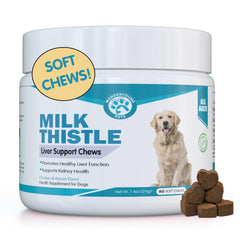 Pawsitive Wanderfound bottle label shows salmon-bacon liver-support chews for dogs