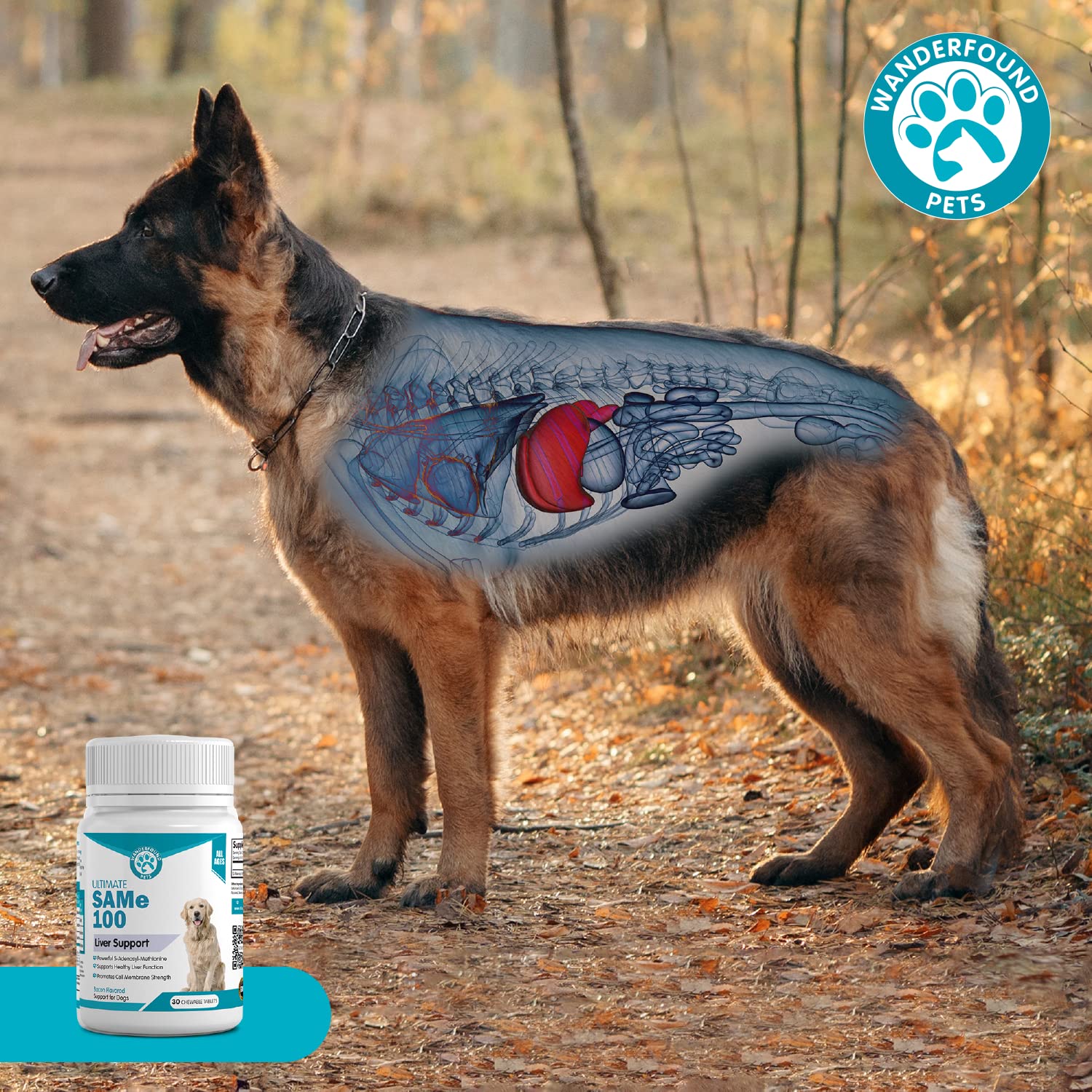 Pawsitive Wanderfound packaging mentions milk thistle for natural support.