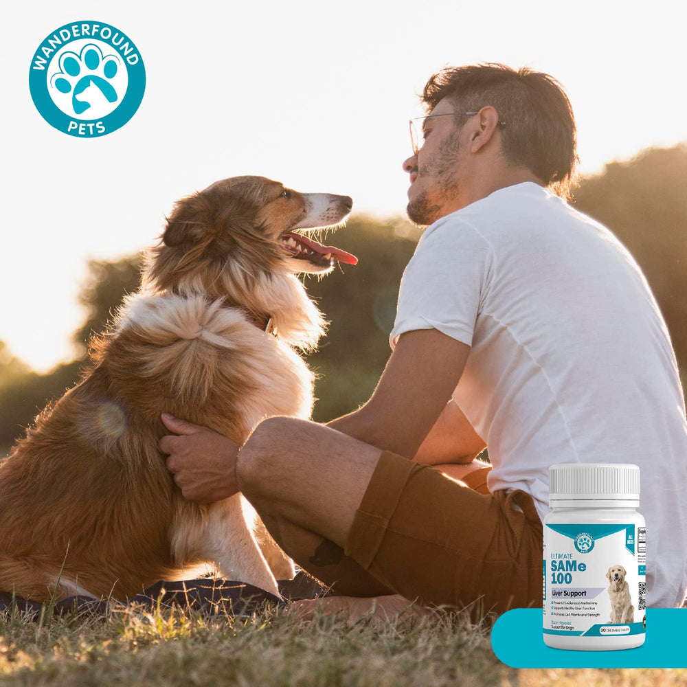 Pawsitive Wanderfound front-view packaging conveys brand care and USA pride.