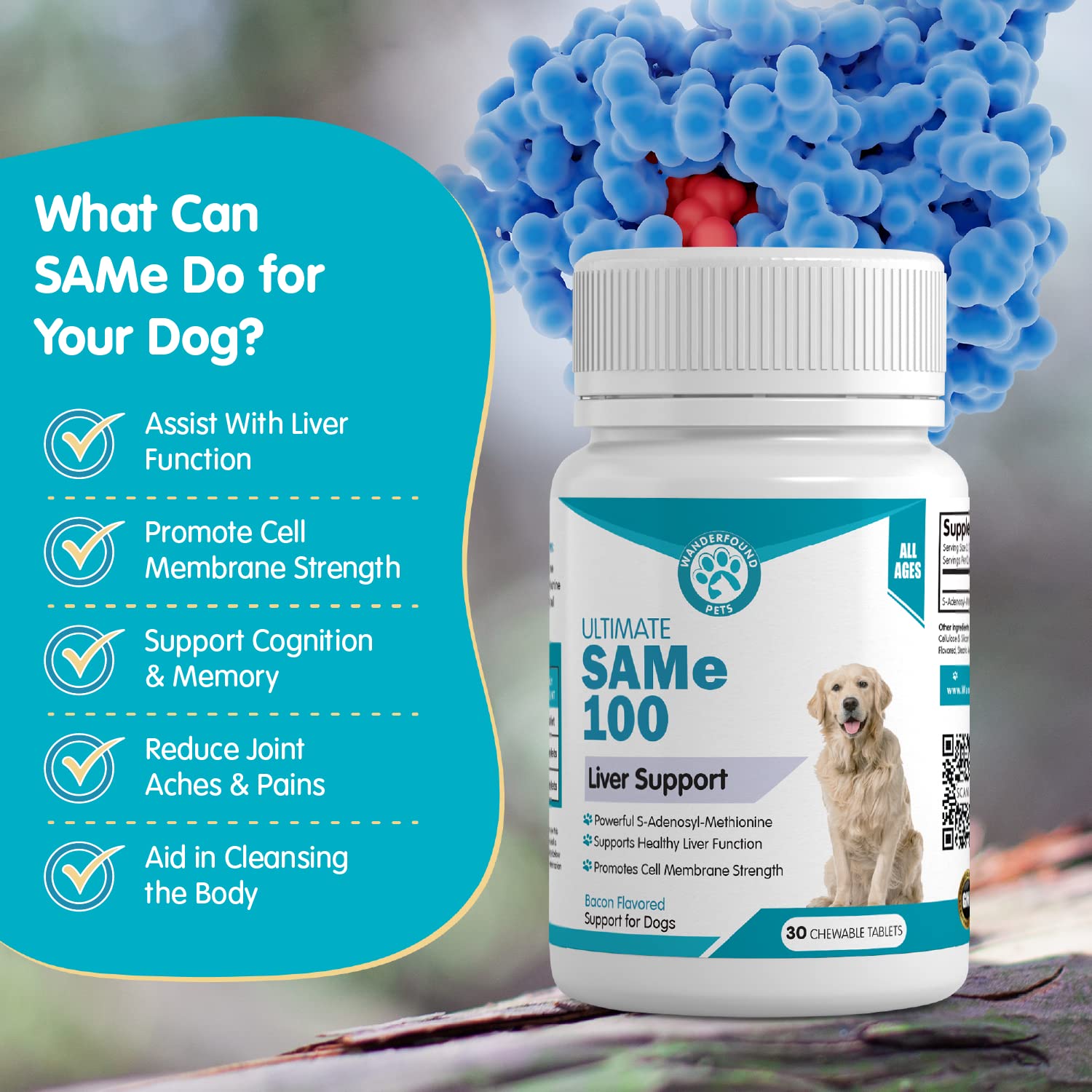 Pawsitive Wanderfound tablet close-up highlights chewable format.
