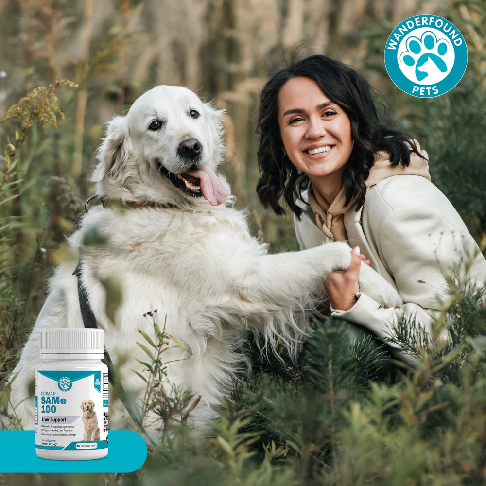 Pawsitive Wanderfound USA-made label on bottle for trusted manufacturing.