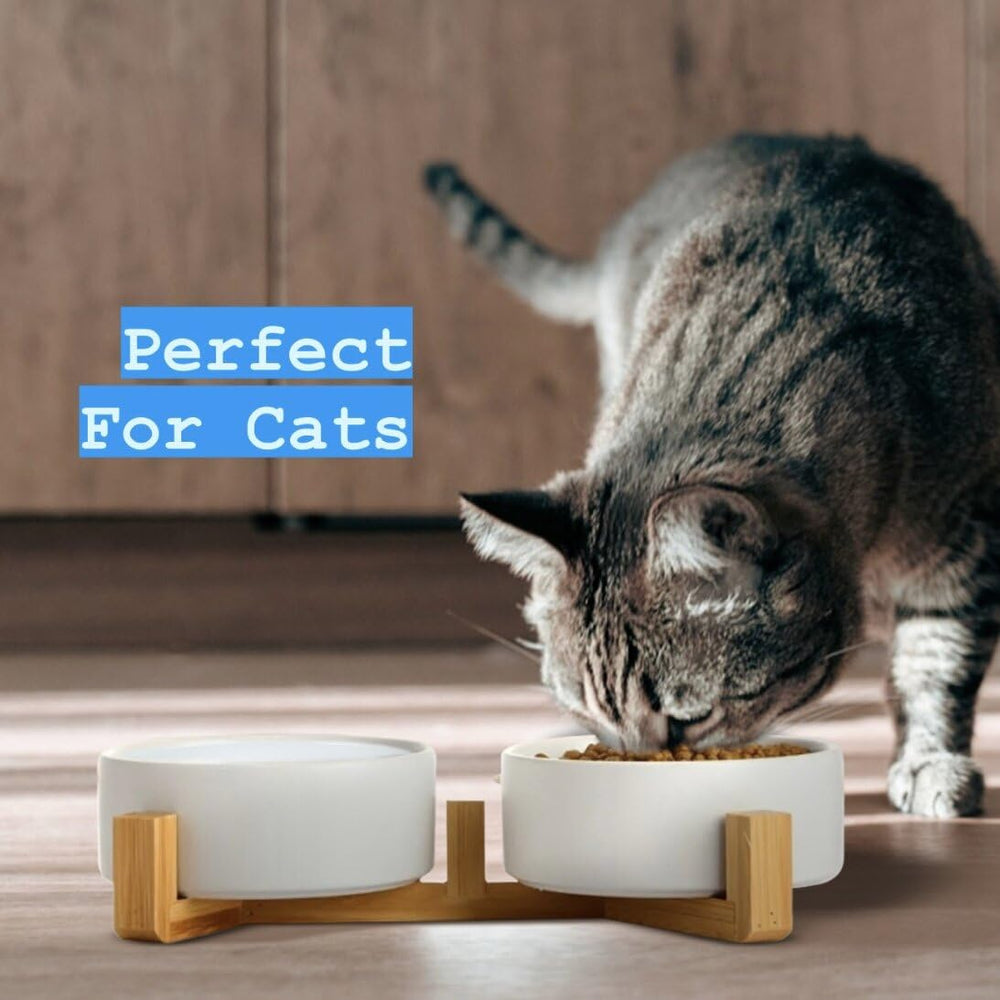Pawsome bamboo non-slip stand keeps bowls in place during meals