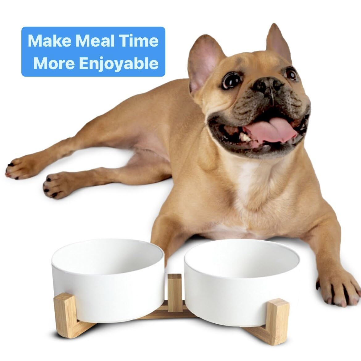 Pawsome cat and small dog feeding-station with double dishes in modern design