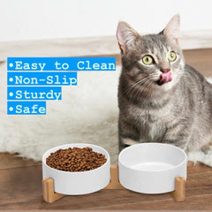 Pawsome microwave-safe ceramic bowls for easy reheating and cleaning