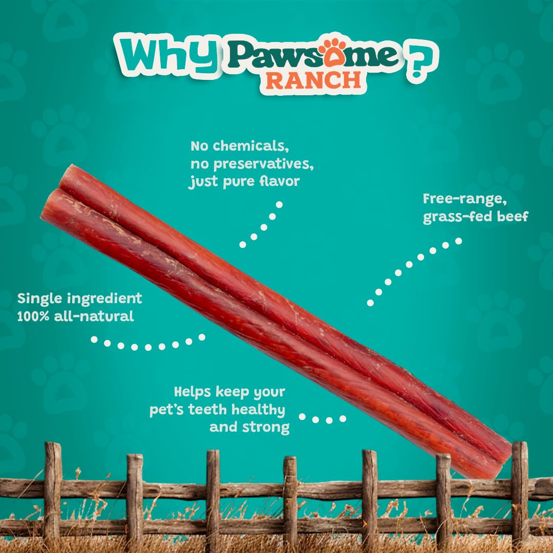 Pawsome Ranch bully sticks 12in pack dental-support visual suggests plaque-control-friendly chew