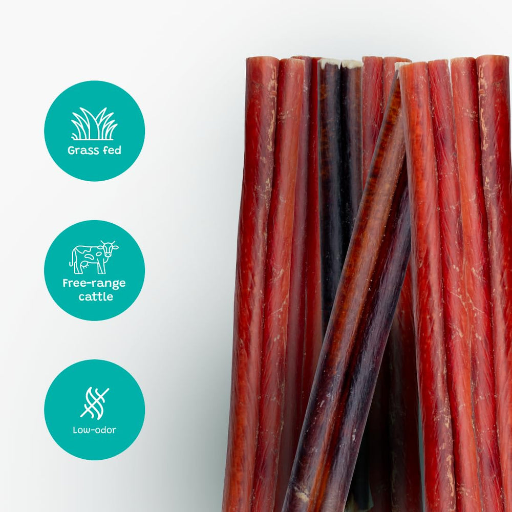 Pawsome Ranch bully sticks 12in pack dog-chew-closeup highlights natural beef flavor