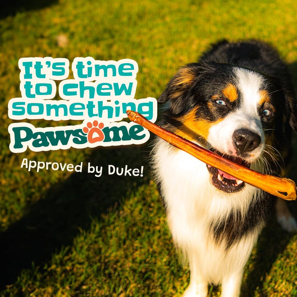 Pawsome Ranch bully sticks 12in pack ready-to-ship display