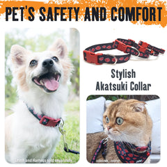 Pawsonify Akatsuki collar worn by a dog during a walk